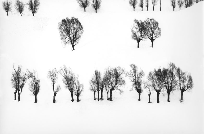 Abbas Kiarostami Photography