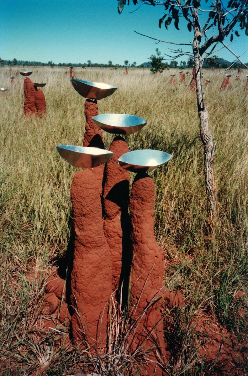 Cath Bowdler, Scott Creek Installation. An environmental installation on a cattle station 70 km west of Katherine NT installed for 6 months from the wet to the dry, 1996, and documented monthly when accessible.