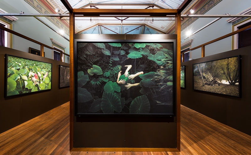 Installation view, 2018 Adelaide Biennial of Australian Art: Divided Worlds featuring works by Tamara Dean, Museum of Economic Botany, Adelaide Botanic Garden, Adelaide. Photo: Saul Steed