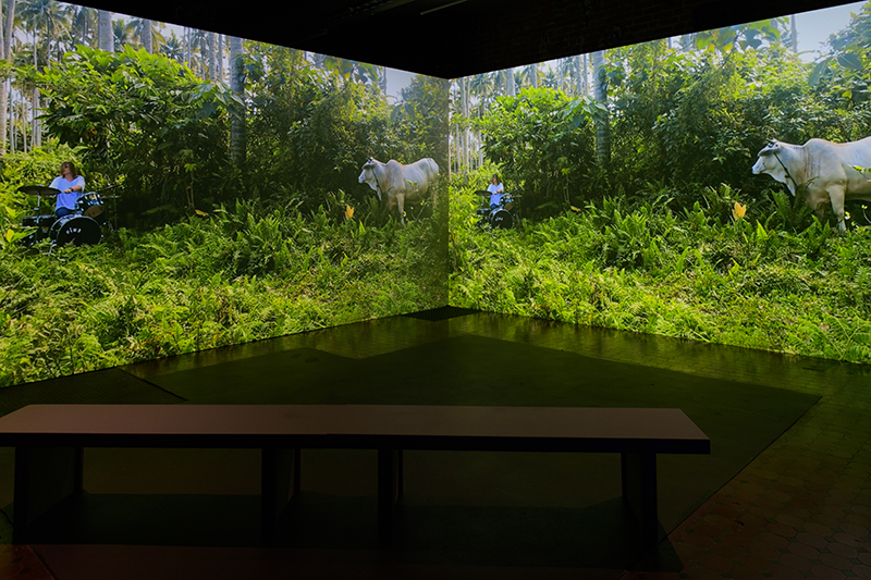 Tina Havelock Stevens The Rapids (2019) installation view, Nature Extemporize at The Substation. Photo: Sarah Walker, courtesy of The Substation