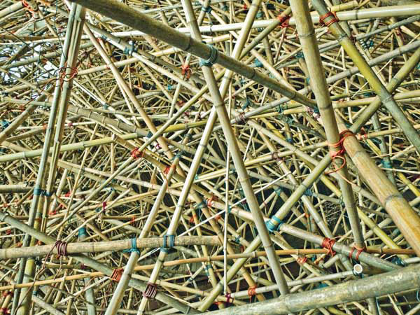 Mike +Doug Starn, Big Bambú