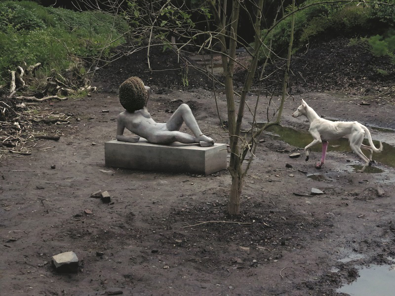 Pierre Huyghe, Untilled, 2011-12