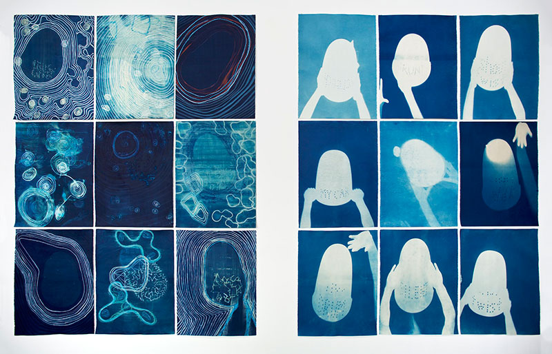 Sue Pedley, Blueprint series