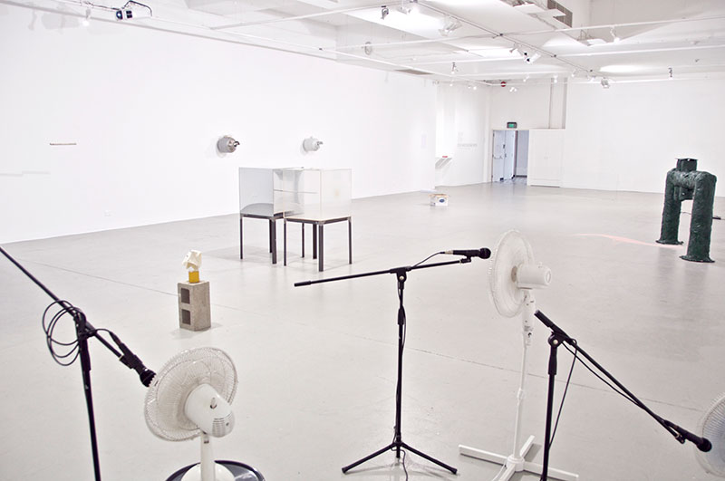 Dug and Digging With, installation view, AEAF