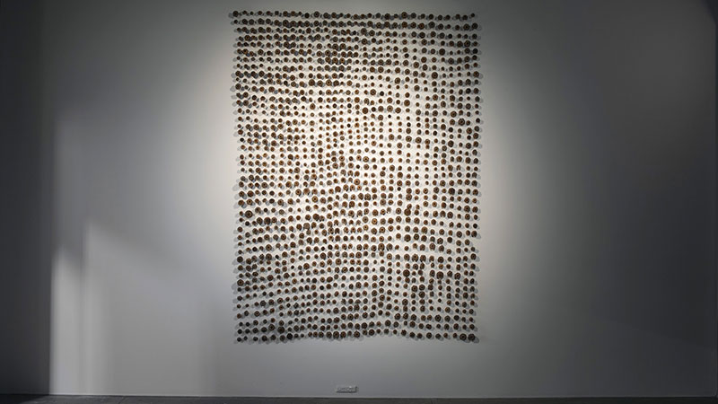 Maria Fernanda Cardoso, Gumnuts, 2009