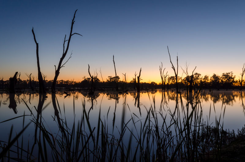 Dungala (Murray) River. Courtesy Museums Victoria. Photo: Tiffany Garvie