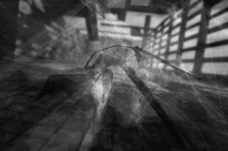 Vladimir Todorovic, Endless Nude Runner, 2018, generative Virtual Reality experience. Courtesy the artist