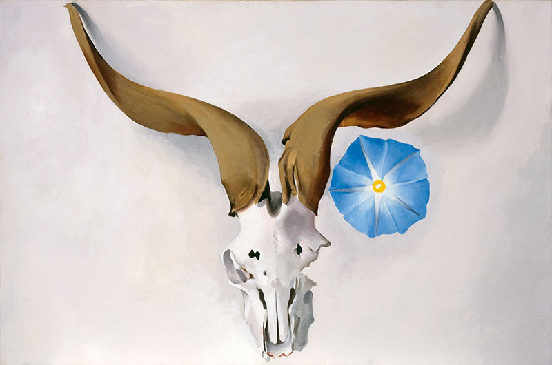 Georgia O'Keefe, Rams head with Petunia