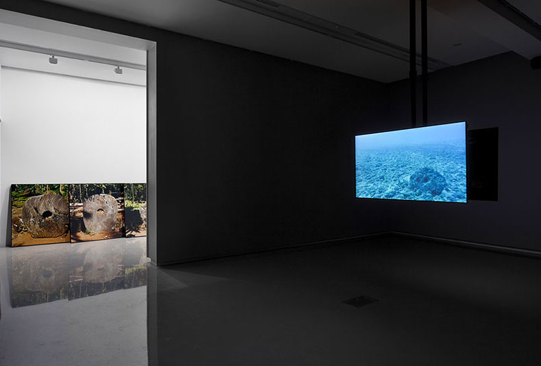 Nicholas Mangan, Limits to Growth, installation view MUMA