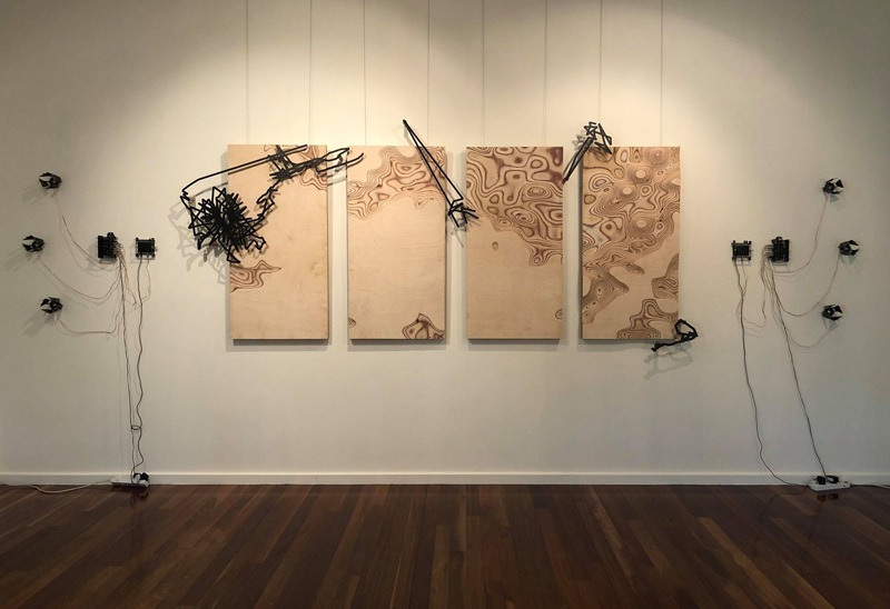 Vincent and Vaughan Wozniak-O'Connor, Radiata Studies, 2020, Material Sound, installation view, Manning Regional Art Gallery, 2020. Photo: Rachel Piercy