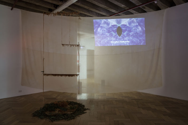 Katie West, Decolonist, installation view