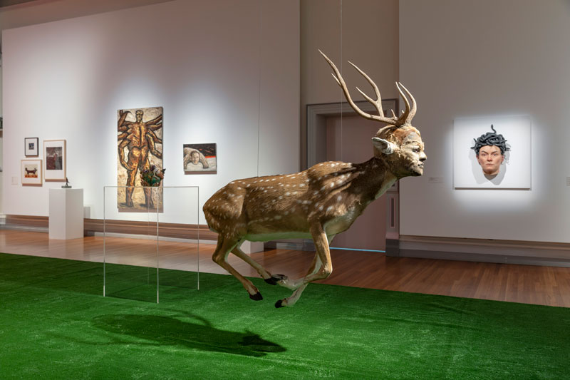 Installation image, My Monster: The Human–Animal Hybrid, installation view, RMIT Gallery. Photo: Mark Ashkanasy