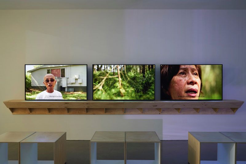 James Nguyen, Installation view, The National 2019. Photo: Zan Wimberley. Courtesy the artist