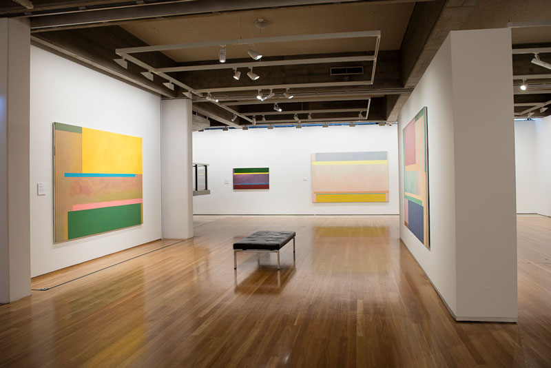 Installation view, Virginia Cuppaidge: The Nature of Abstraction. Courtesy Newcastle Art Gallery
