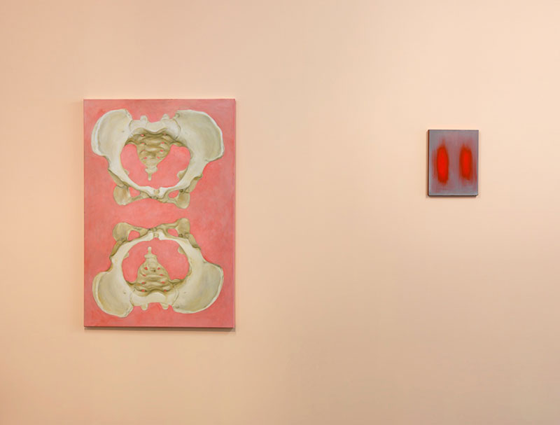 Mary-Jean Richardson, Watching the body , 2016 installation view Feltspace. Photo credit Grant Hancock.