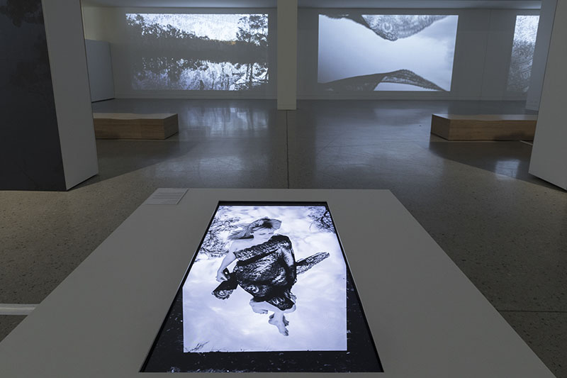 Installation view, Nicole Welch: Wildēornes Land, Blue Mountains Cultural Centre.