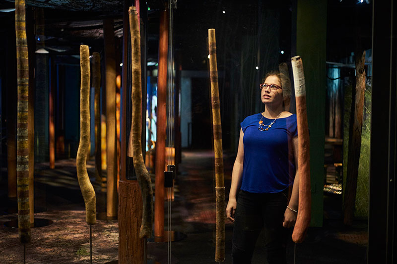 Installation view, Yidaki: Didjeridu and the Sound of Australia, South Australian Museum